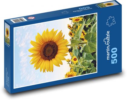 Slunečnice - puzzle 500 dílků