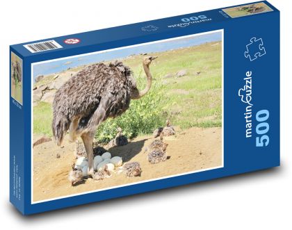 Strusie - ptaki - Puzzle 500 elementów, rozmiar 46x30 cm