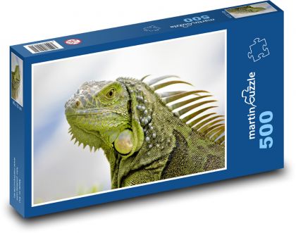 Iguana - lizard - Puzzle of 500 pieces, size 46x30 cm 