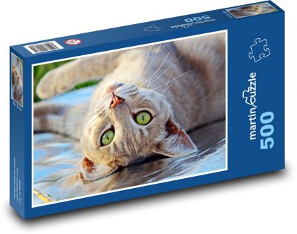 Mourovatá kočka - puzzle 500 dílků