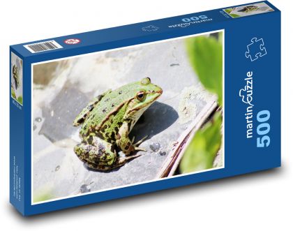 Žába - obojživelník - puzzle 500 dílků