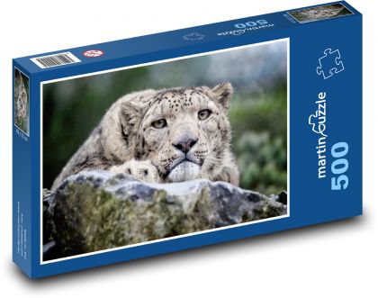 Leopard - Puzzle 500 dílků, rozměr 46x30 cm