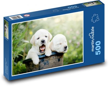 Zlatý retriever - psy, šteniatka - Puzzle 500 dielikov, rozmer 46x30 cm 