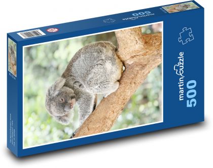 Koala on a tree - Puzzle of 500 pieces, size 46x30 cm 