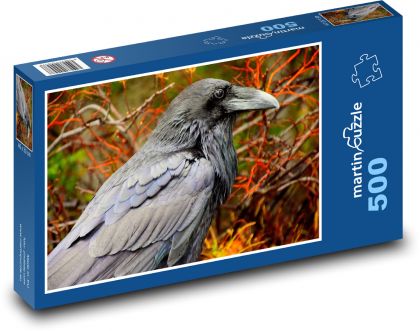 Havran - pták - puzzle 500 dílků