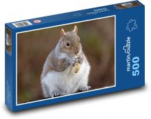 Squirrel and peanut Puzzle of 500 pieces - 46 x 30 cm 