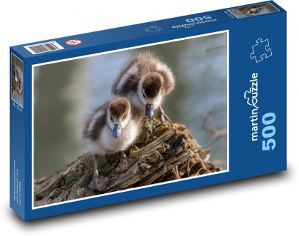 Gęsi egipskie - Puzzle 500 elementów, rozmiar 46x30 cm