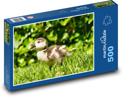 Kačacie mláďa v tráve - Puzzle 500 dielikov, rozmer 46x30 cm 