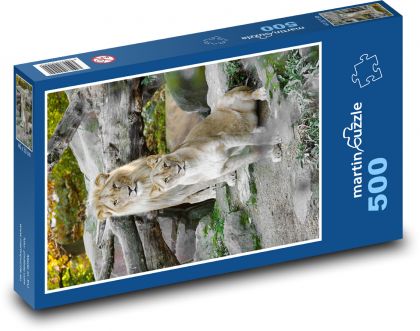 Lion and lioness in nature - Puzzle of 500 pieces, size 46x30 cm 