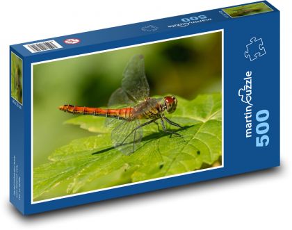 Dragonfly - Insects - Puzzle of 500 pieces, size 46x30 cm 