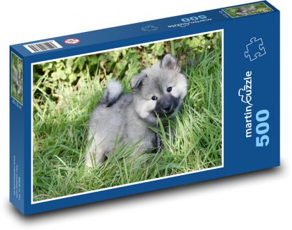 Eurasier štěně - puzzle 500 dílků