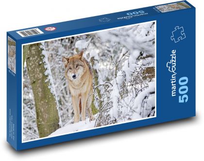 Vlk - Mongolsko - Puzzle 500 dílků, rozměr 46x30 cm