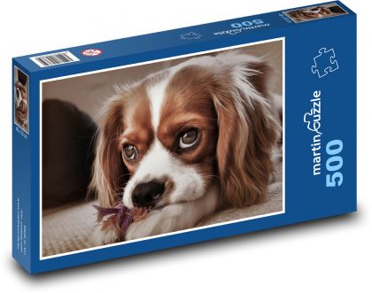 King Charles Spaniel - Puppy - Puzzle of 500 pieces, size 46x30 cm 