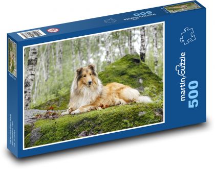 Langhaariger Collie im Wald - Puzzle - 500 Teile
