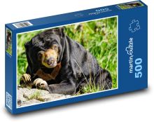 Medveď Puzzle 500 dielikov - 46 x 30 cm