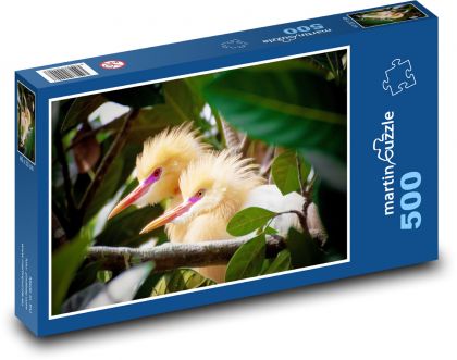 PETUL Bird - Puzzle 500 elementów, rozmiar 46x30 cm