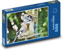 Sojka - ptactvo Puzzle 500 - 46x30 cm