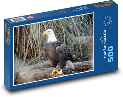 Bald Eagle - Predator - Puzzle of 500 pieces, size 46x30 cm 