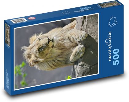 Löwe mit großer Mähne - Puzzle - 500 Teile