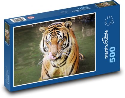 Tiger in the river - Puzzle of 500 pieces, size 46x30 cm 