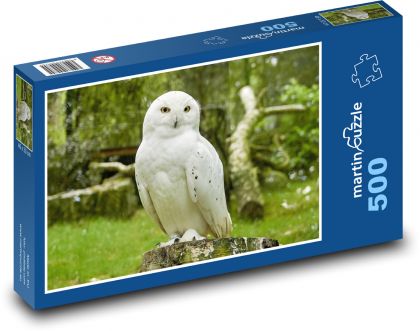 Sněžná sova - puzzle 500 dílků