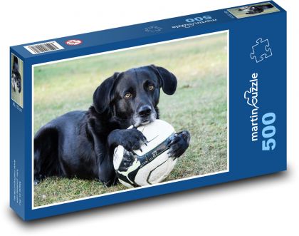 Dog with a ball - Labrador - Puzzle of 500 pieces, size 46x30 cm 