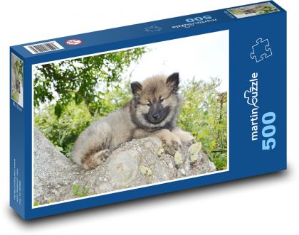 Eurasier - puppy - Puzzle of 500 pieces, size 46x30 cm 