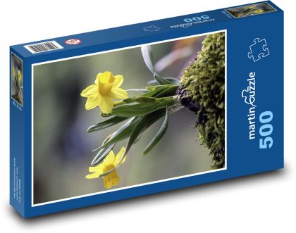 Gelbe Narzisse - Puzzle - 500 Teile
