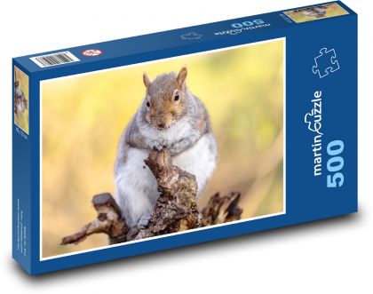 Veverica. - Puzzle 500 dielikov, rozmer 46x30 cm 