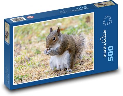 Squirrel - rodent - Puzzle of 500 pieces, size 46x30 cm 