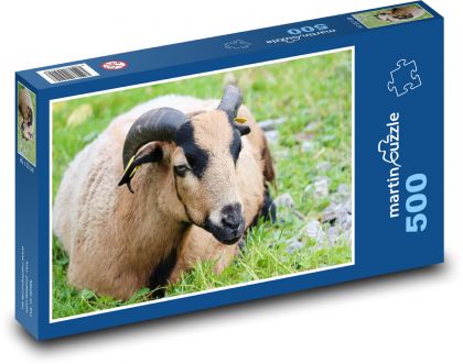 Domestic goat - Puzzle of 500 pieces, size 46x30 cm 