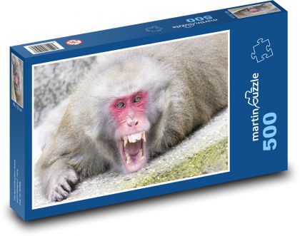 Opice - puzzle 500 dílků
