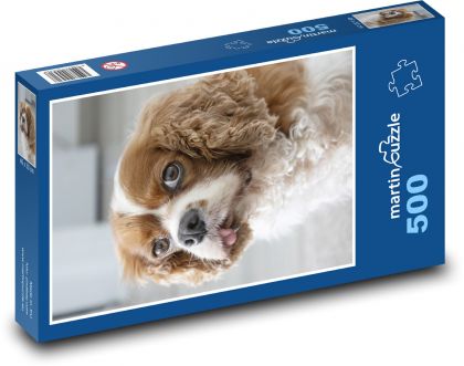 King Charles Spaniel - Hund - Puzzle - 500 Teile