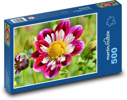 Tincture - Flower - Puzzle of 500 pieces, size 46x30 cm 