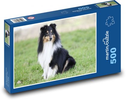 Shetlandský ovčiak - Puzzle 500 dielikov, rozmer 46x30 cm 