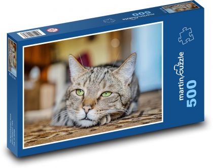 Kočka se zelenýma očima - puzzle 500 dílků