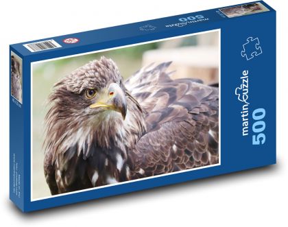 Głowa orła - Puzzle 500 elementów, rozmiar 46x30 cm