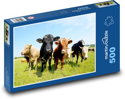 Krowy na polu - Puzzle 500 elementów, rozmiar 46x30 cm