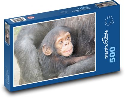 Schimpanse - Küken - Puzzle - 500 Teile