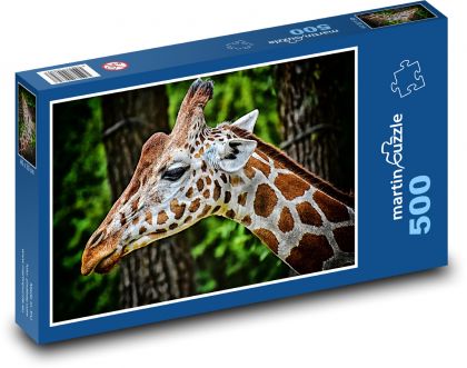 Giraffe - Puzzle of 500 pieces, size 46x30 cm 