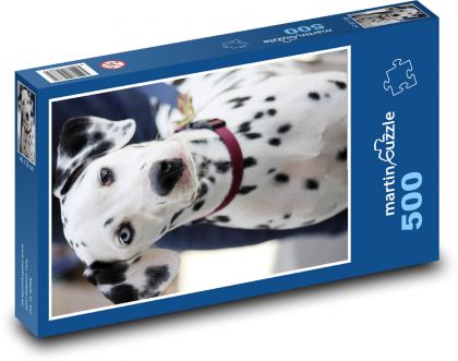Dalmatin - pes - puzzle 500 dílků