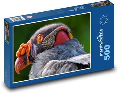 Geier - Vogel - Puzzle - 500 Teile