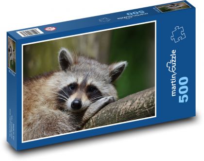 Mýval medveď - Puzzle 500 dielikov, rozmer 46x30 cm 