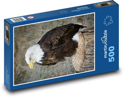 Pták - orel - puzzle 500 dílků