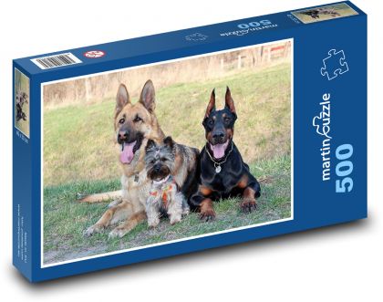 Doberman, Yorkshire Terrier, German Shepherd - Puzzle of 500 pieces, size 46x30 cm 