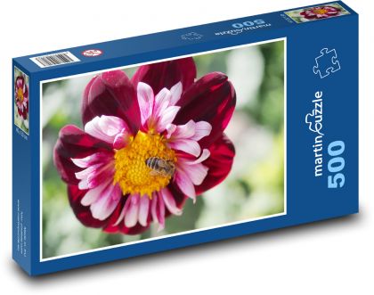 Biene auf einer Blume - Dahlien - Puzzle - 500 Teile