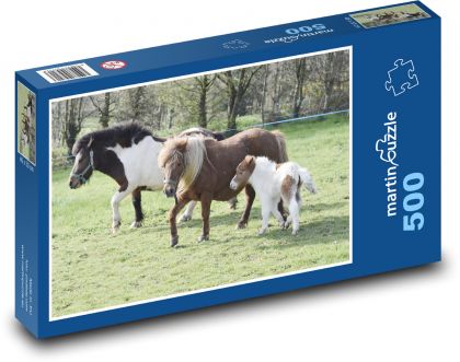 Shetlandské poníky - Puzzle 500 dielikov, rozmer 46x30 cm 