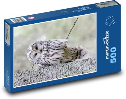 Ptak - sowa - Puzzle 500 elementów, rozmiar 46x30 cm