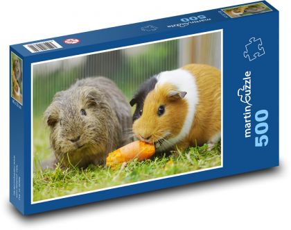 Świnki morskie - gryzonie - Puzzle 500 elementów, rozmiar 46x30 cm