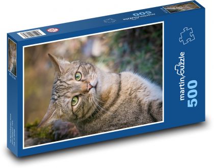 Domestic cat - Puzzle of 500 pieces, size 46x30 cm 